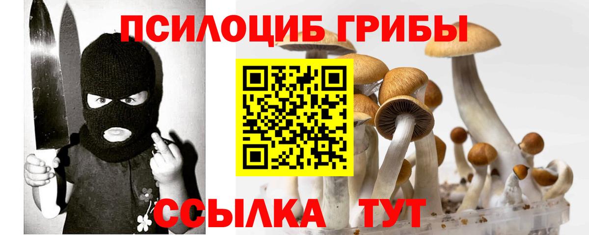 Галлюциногенные грибы Cubensis  Вход с VPN  Мелеуз 