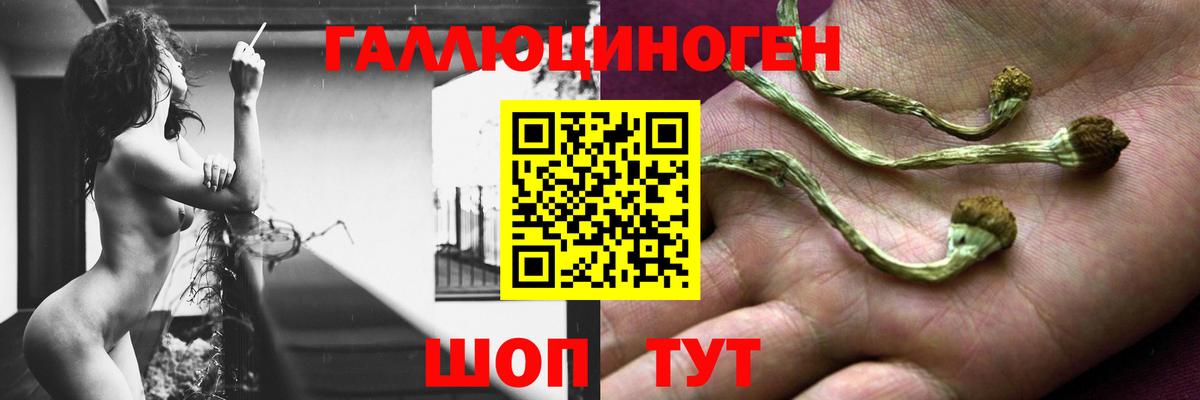 Псилоцибиновые грибы MAGIC MUSHROOMS Мелеуз
